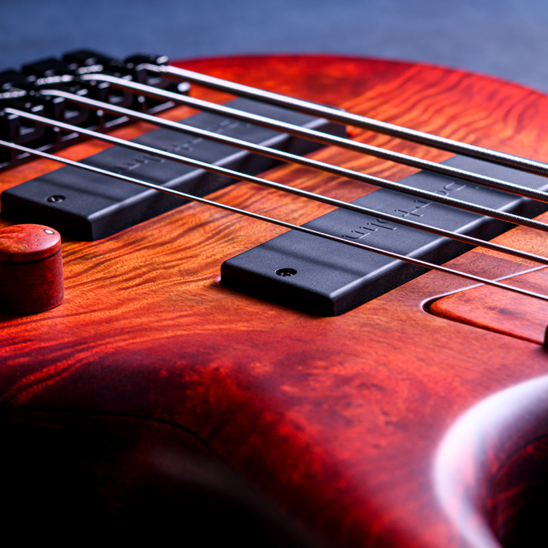 MTD 535-24 Myrtle Burl 10 Top, Poplar Body, Wenge Neck & Fingerboard