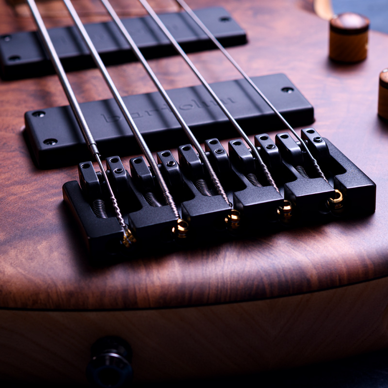 MTD 535-24 Walnut 10 Top, Ash Body & Neck, Birds Eye Maple Fingerboard