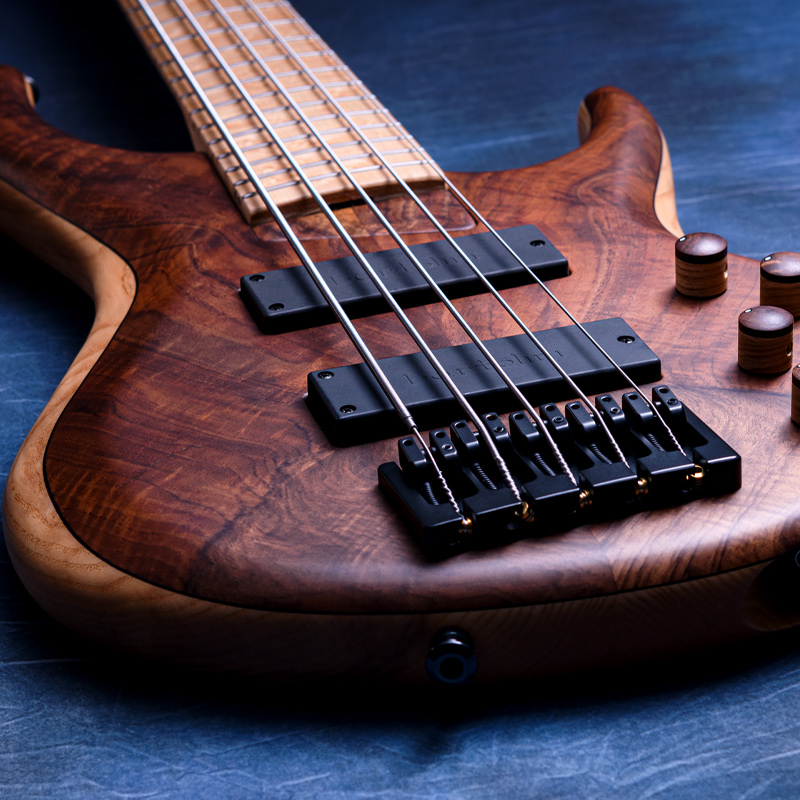 MTD NAMM Show 2026 / 535-24 Walnut 10 Top, Ash Body & Neck, Birds Eye Maple Fingerboard