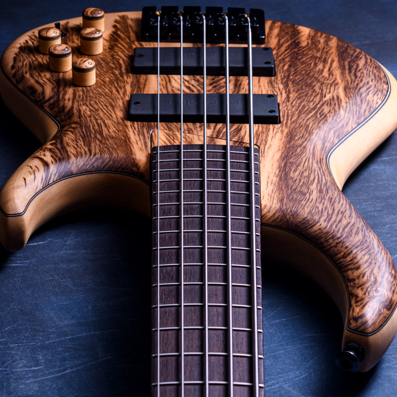 MTD NAMM Show 2026 / 535-24 Tiger Myrtle 10 Top, Avodire Body, Wenge Neck & Fingerboard