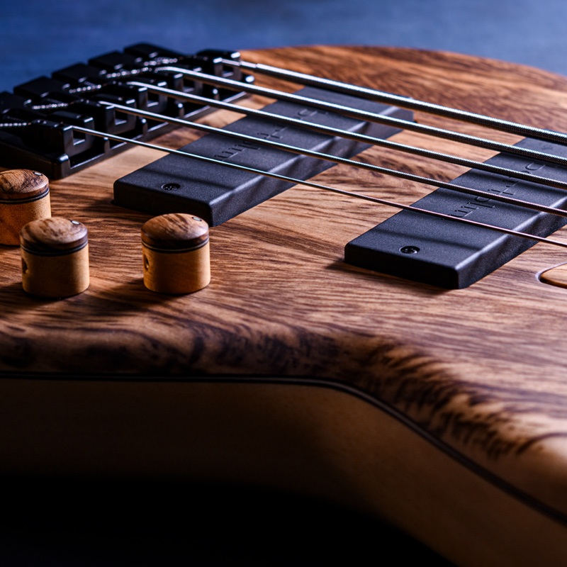 MTD NAMM Show 2026 / 535-24 Tiger Myrtle 10 Top, Avodire Body, Wenge Neck & Fingerboard