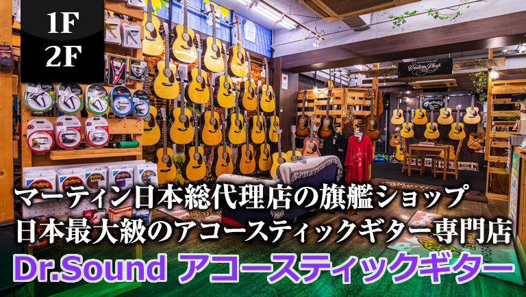 Dr.Sound Acoustic Guitar