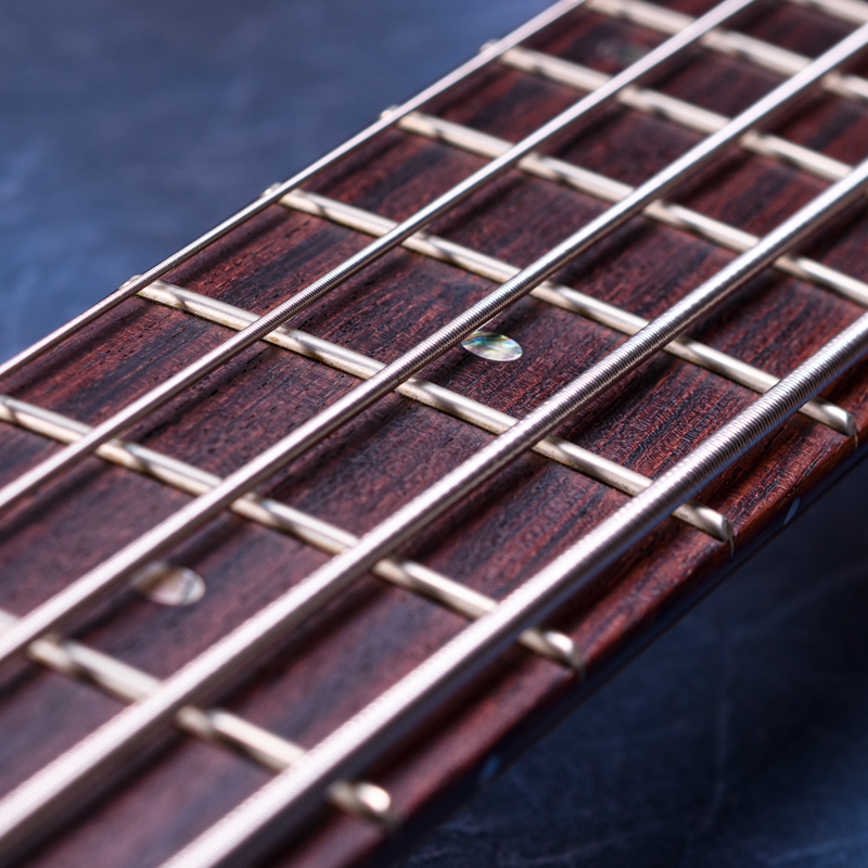 Fodera Emperor 5 Deluxe - Used