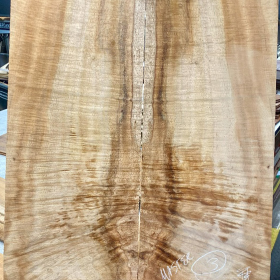 Taylor x G-CLUB UMEDA Factory Custom.