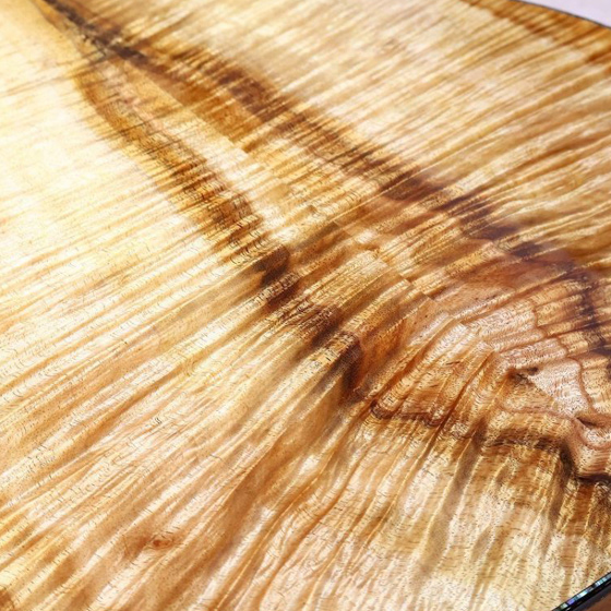 Taylor x G-CLUB UMEDA Factory Custom.