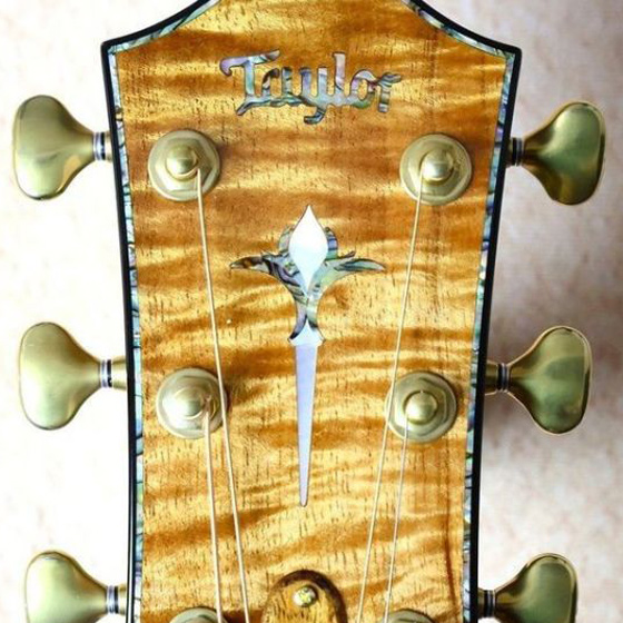 Taylor x G-CLUB UMEDA Factory Custom.