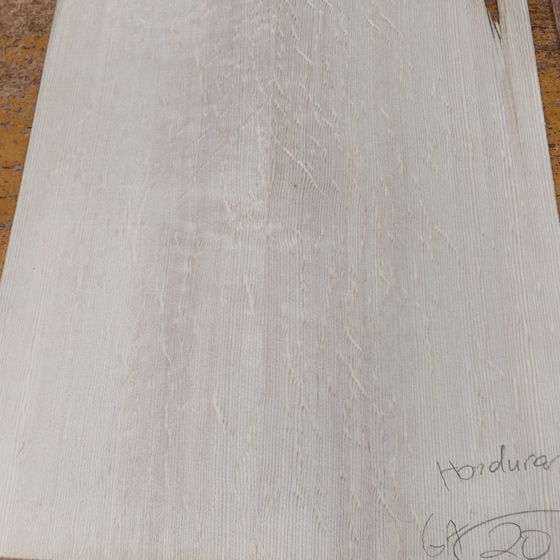 Taylor x G-CLUB UMEDA Factory Custom.