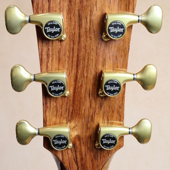 Taylor x G-CLUB UMEDA Factory Custom.