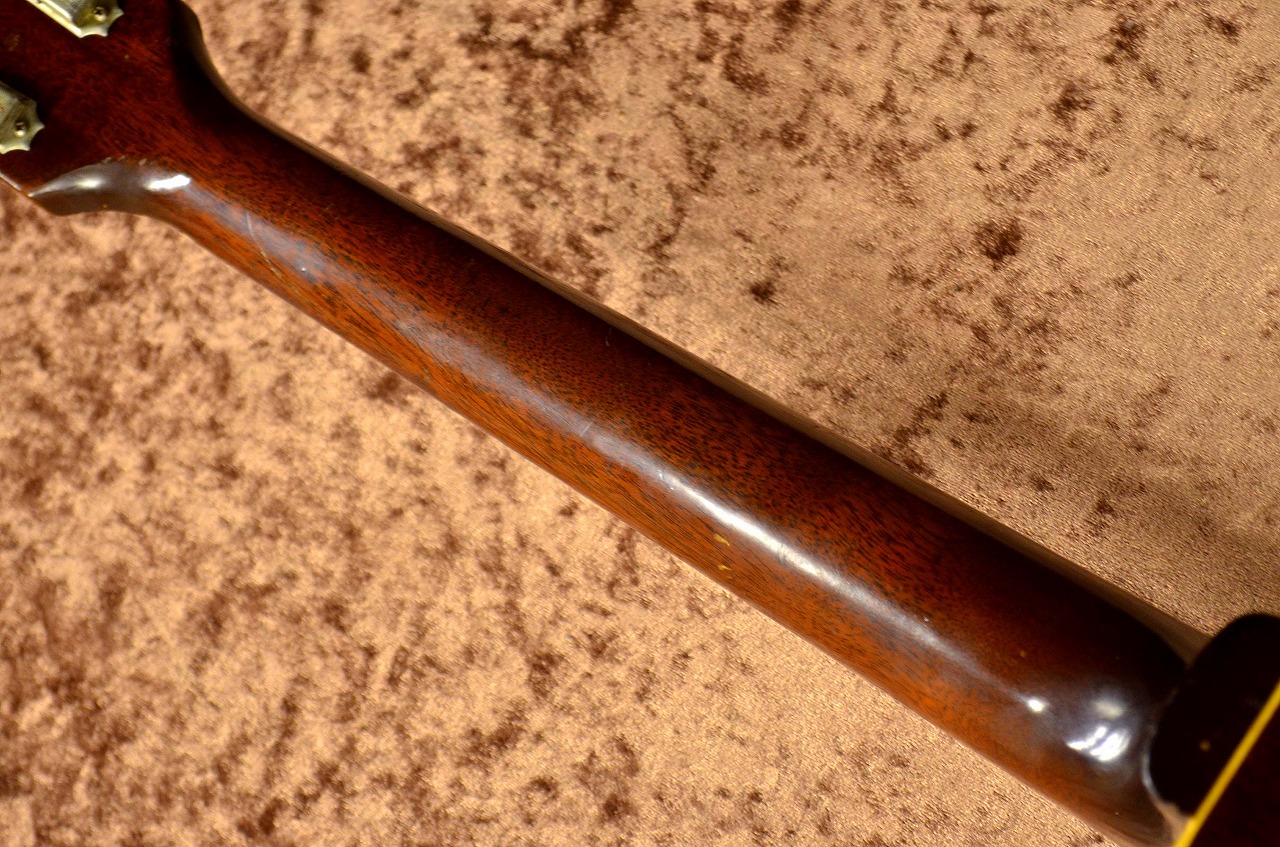 Gibson J-50 1966年製モデル 限定版 Gibson J-50 1966年製モデル 限定版 Gibson J-50 (1966) | The Music