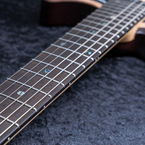 Astrum Guitars Aries