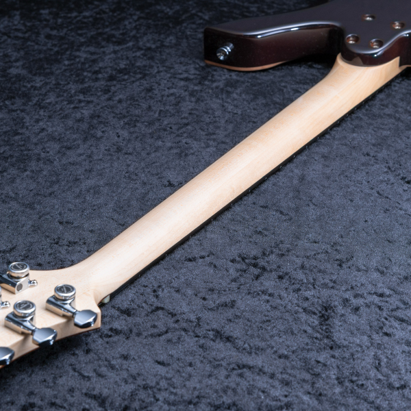Astrum Guitars Aries
