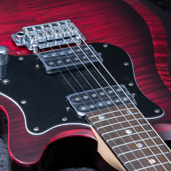 Astrum Guitars Aries