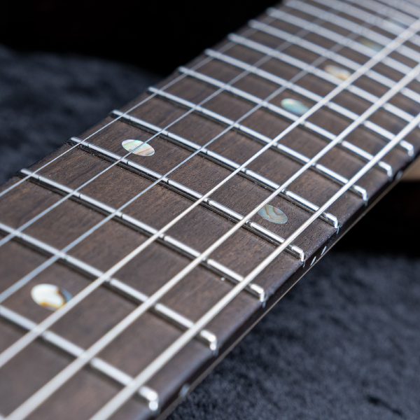 Astrum Guitars Aries