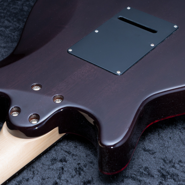 Astrum Guitars Aries