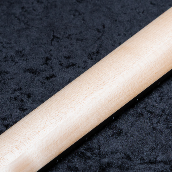 Astrum Guitars Aries