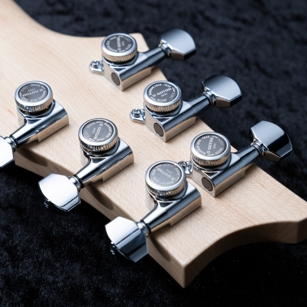 Astrum Guitars Aries