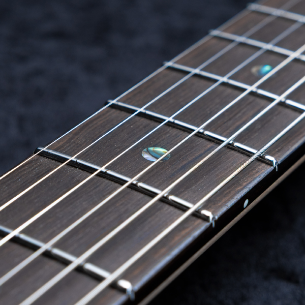 Astrum Guitars Aries