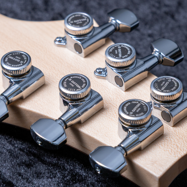 Astrum Guitars Aries