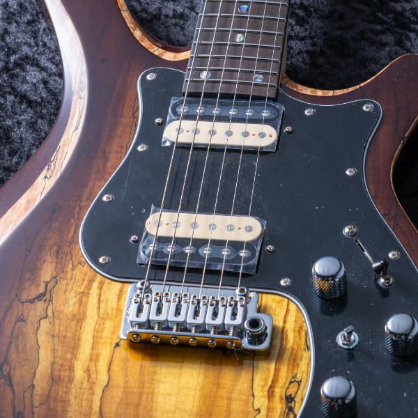 Astrum Guitars Aries