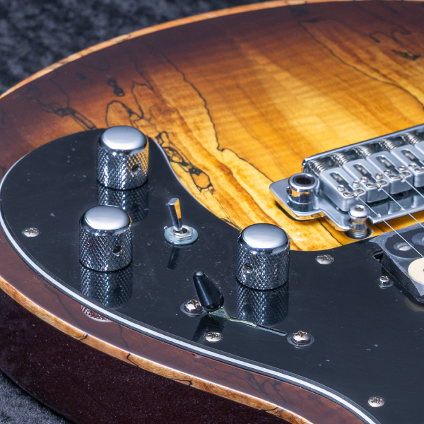 Astrum Guitars Aries