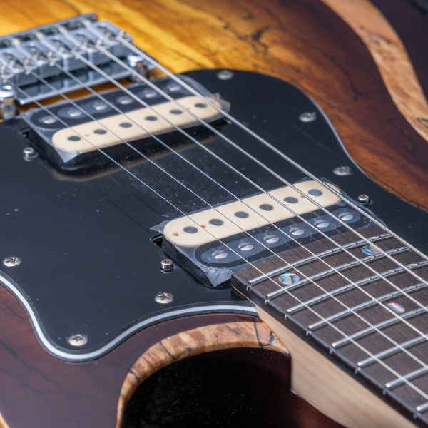 Astrum Guitars Aries