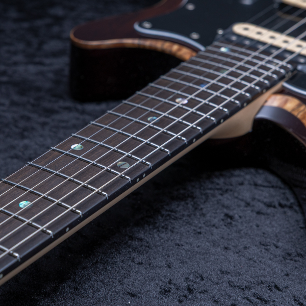 Astrum Guitars Aries
