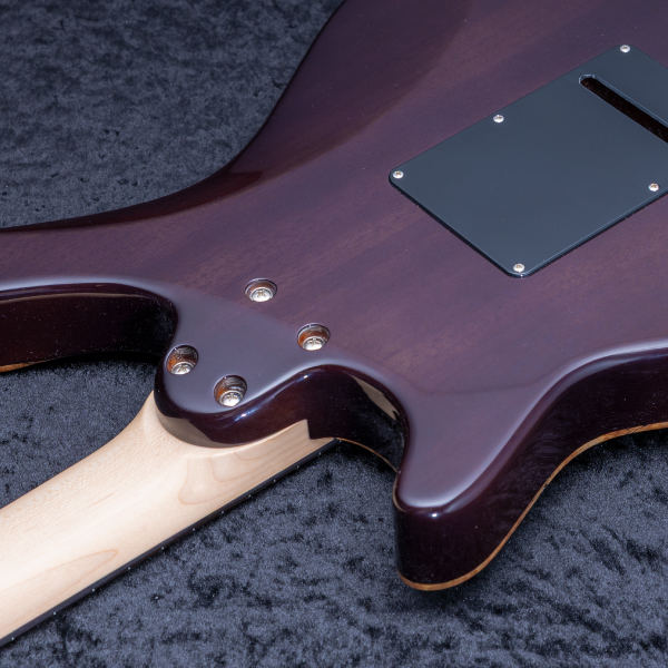 Astrum Guitars Aries