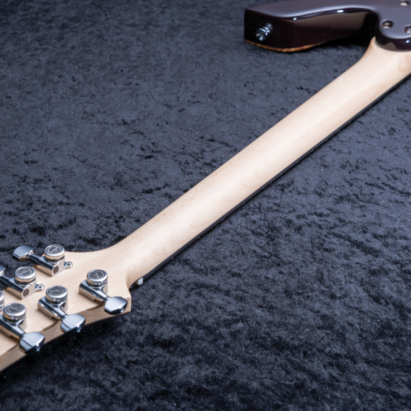 Astrum Guitars Aries