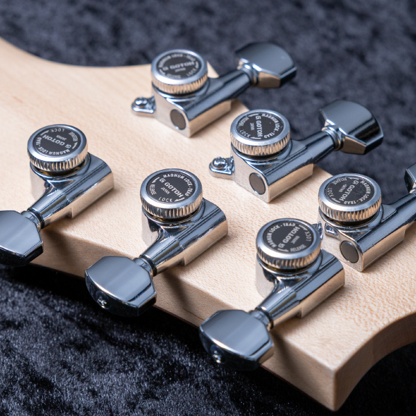 Astrum Guitars Aries