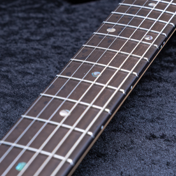 Astrum Guitars Aries