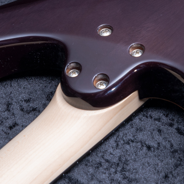 Astrum Guitars Aries