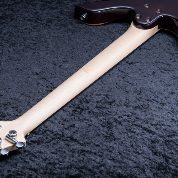 Astrum Guitars Aries