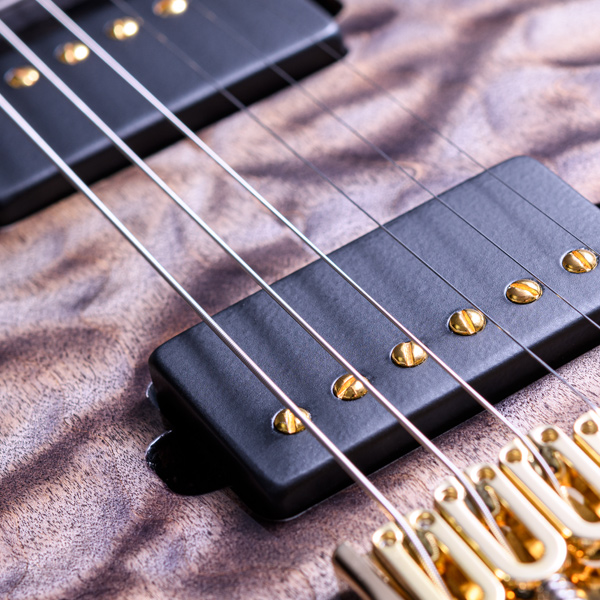 Hinnant Guitars Revival 6 Black Stain