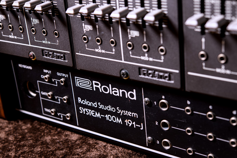 Roland SYSTEM-100M D-SET