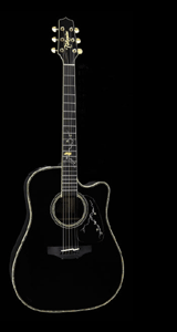 Takamine LTD2012