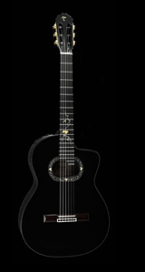 Takamine LTD2012C