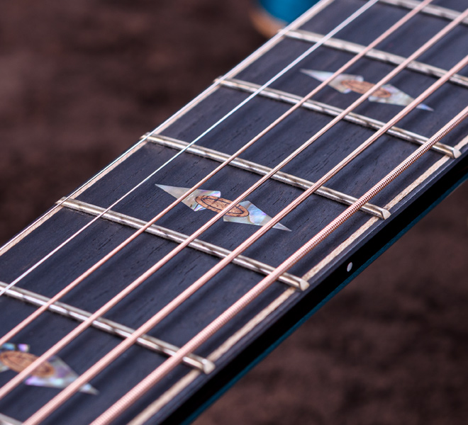 Taylor Custom Models.