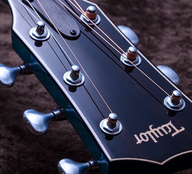 Taylor Custom Models.