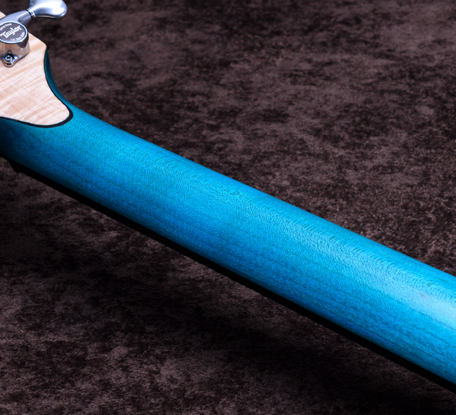 Taylor Custom Models.