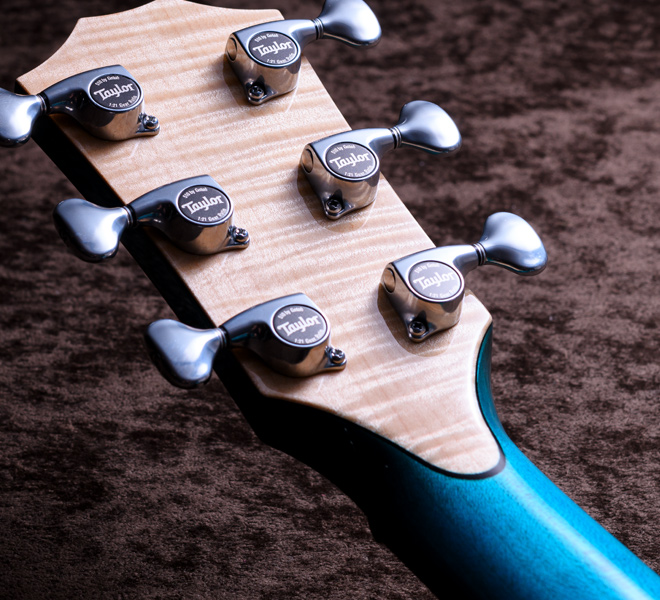 Taylor Custom Models.