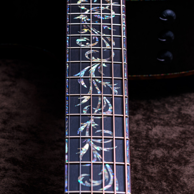 Taylor Custom Models.