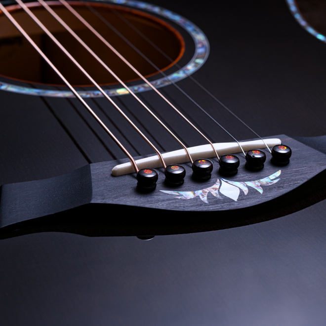 Taylor Custom Models.