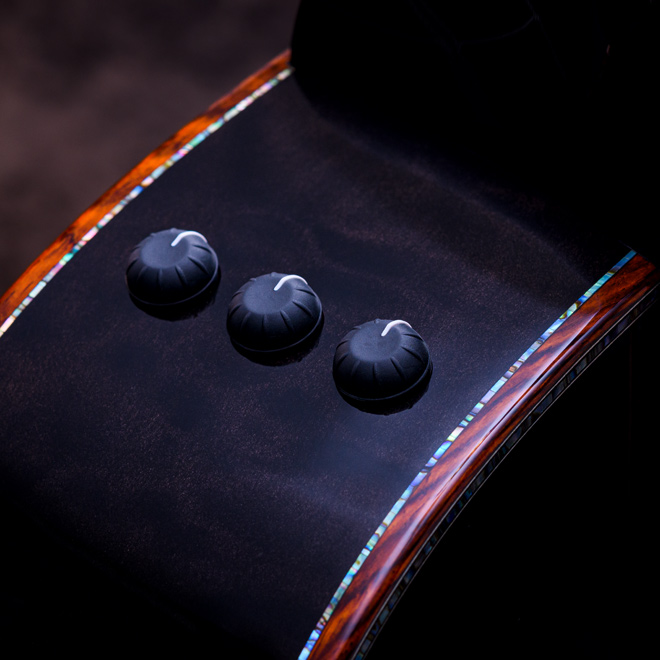 Taylor Custom Models.