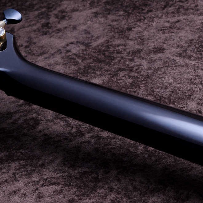 Taylor Custom Models.