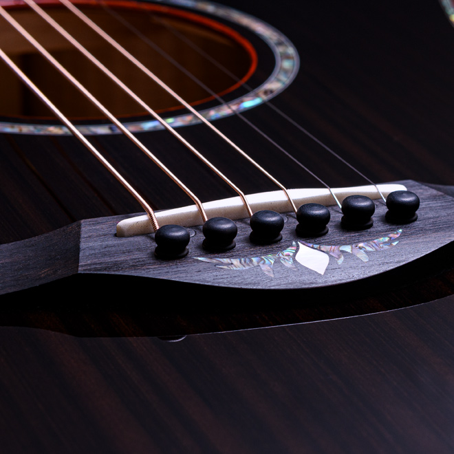 Taylor Custom Models.