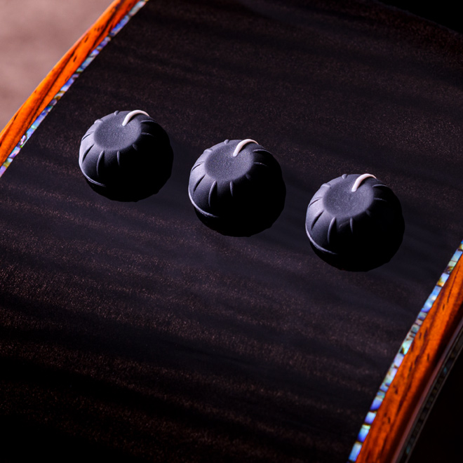 Taylor Custom Models.