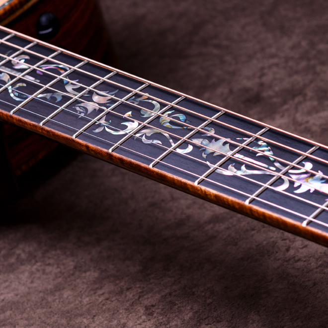 Taylor Custom Models.