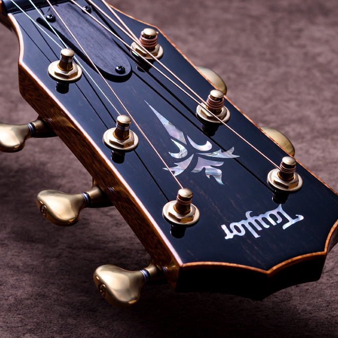 Taylor Custom Models.