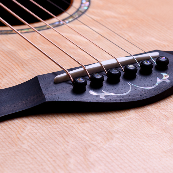 Taylor Custom Models.