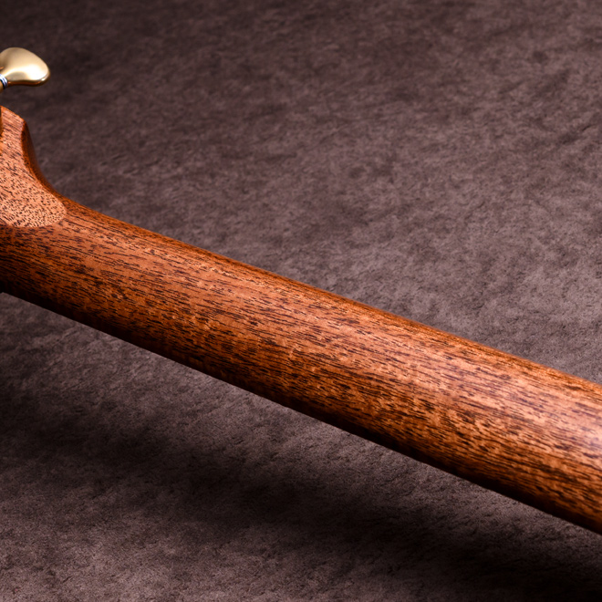 Taylor Custom Models.